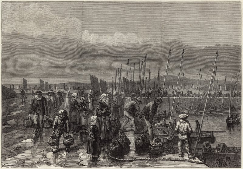 Brittany kıyısında sardalya balıkçılığı by English School