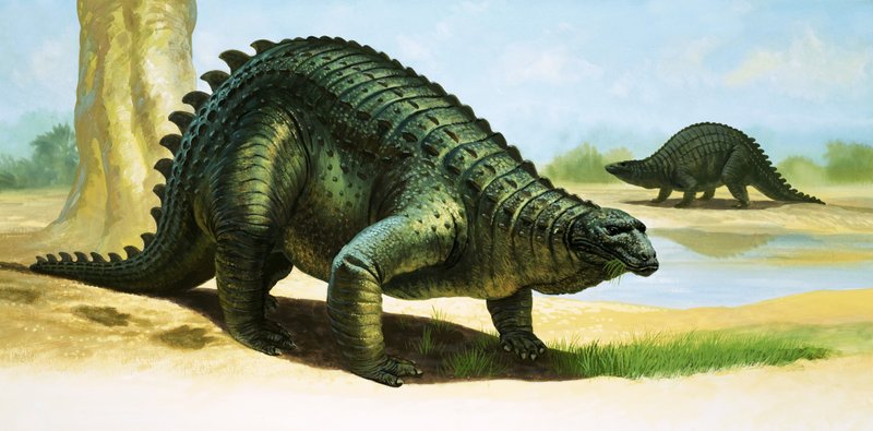 Scelidosaurus by English School