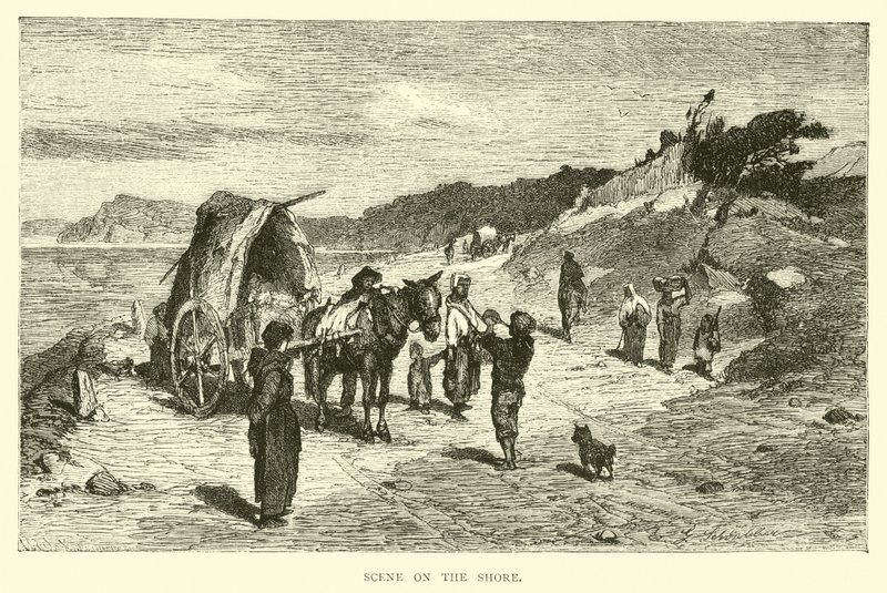 Kıyıdaki sahne by English School