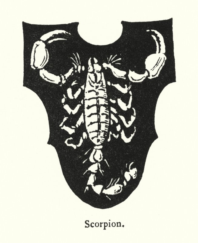Akrep (gravür) by English School