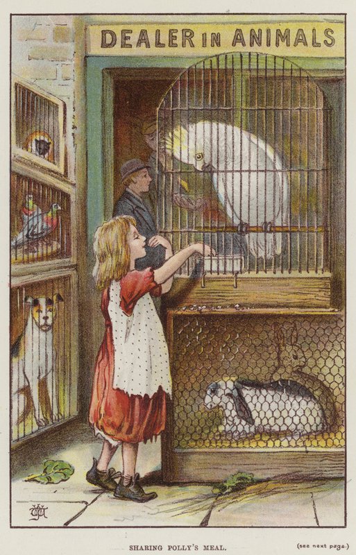 Polly