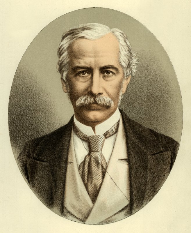 Sir Bartle Frere by English School