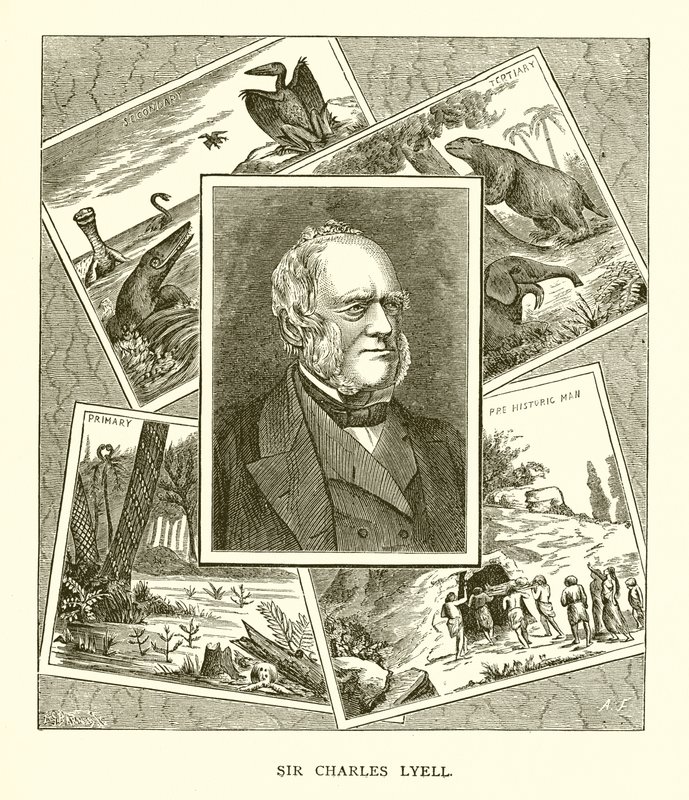 Sir Charles Lyell by English School