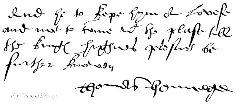 Sör Thomas Heneage by English School