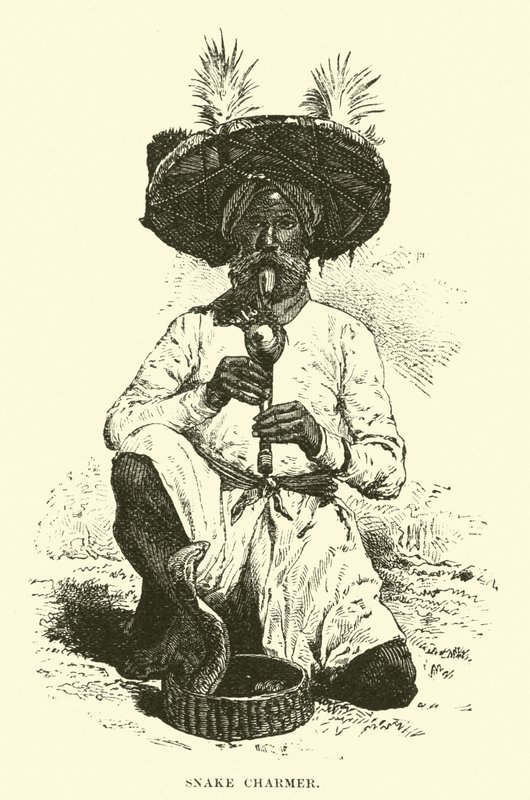 yılan büyücüsü by English School