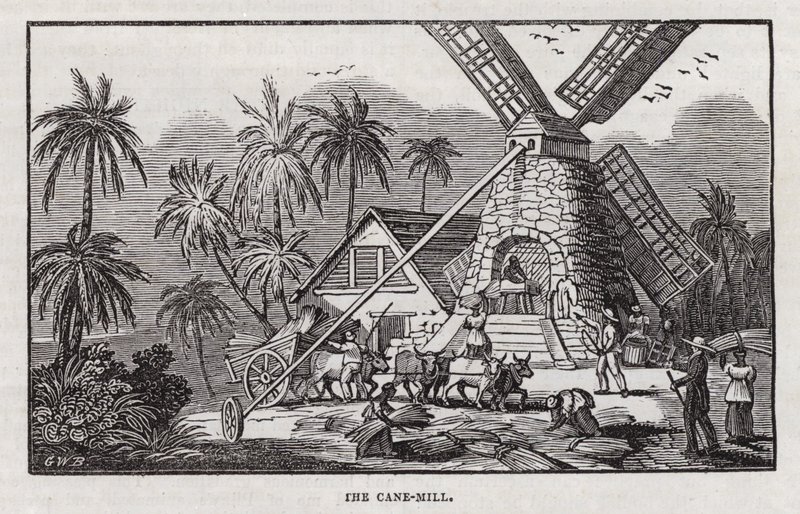Şeker üretimi (gravür) by English School