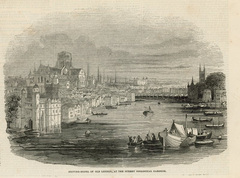 Surrey Hayvanat Bahçeleri by English School