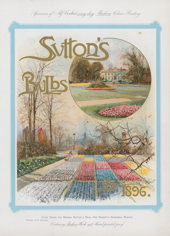 1896 için Suttons Ampuller by English School