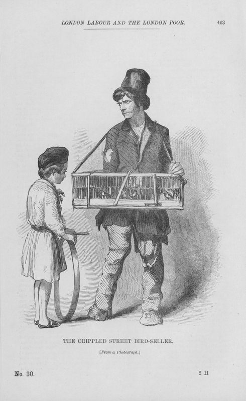 Sakat Sokak Kuşu Satıcısı (gravür) by English School