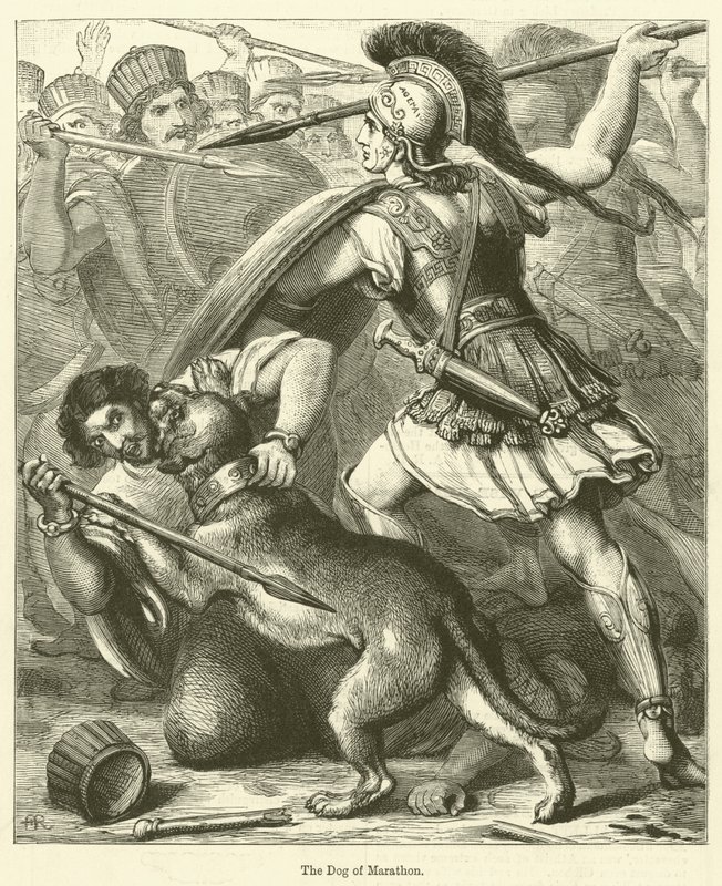 Maraton Köpeği (gravür) by English School