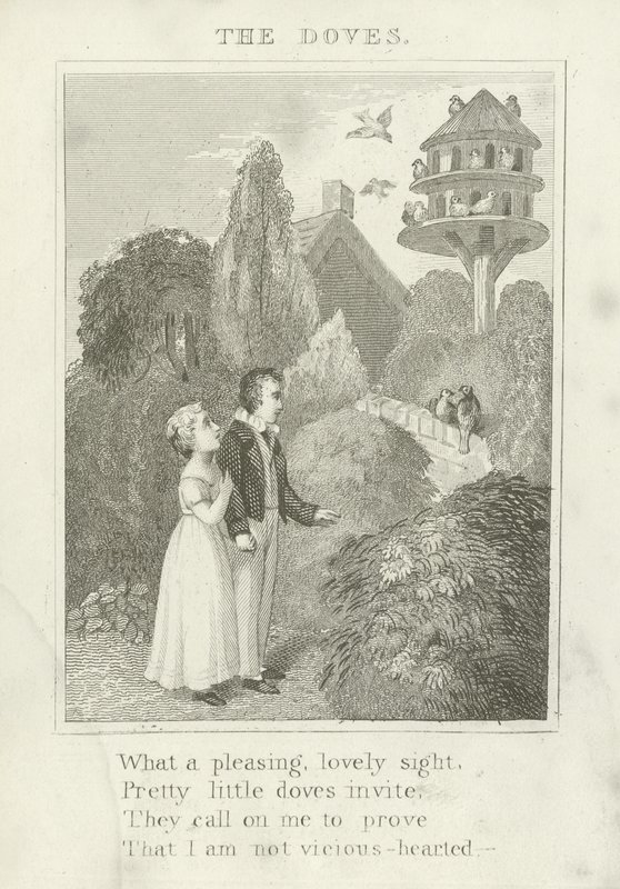 güvercinler by English School