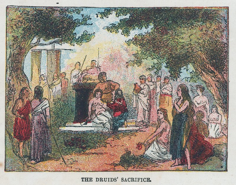 The Druid