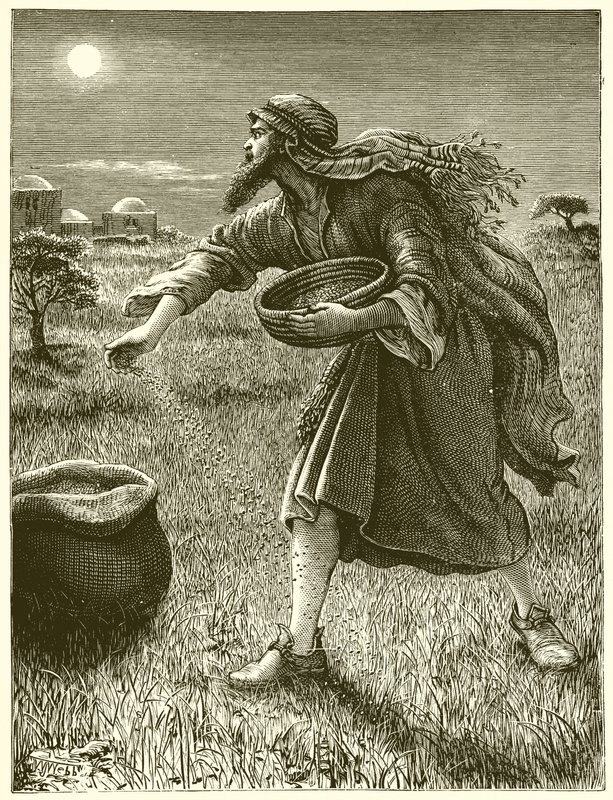 Dara eken düşman by English School