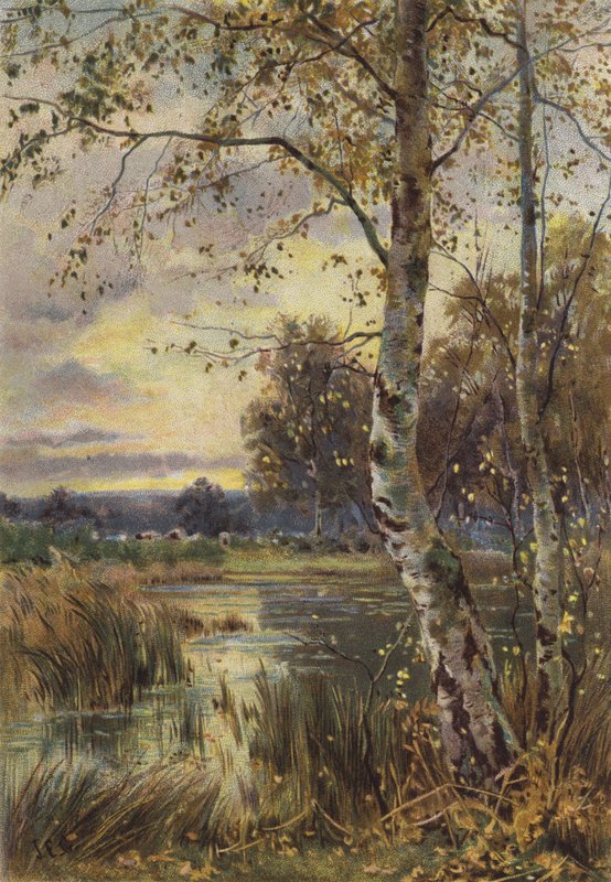 Düşen Yaprak (chromolitho) by English School