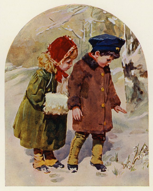 İlk Kardelen (renkli taş) by English School