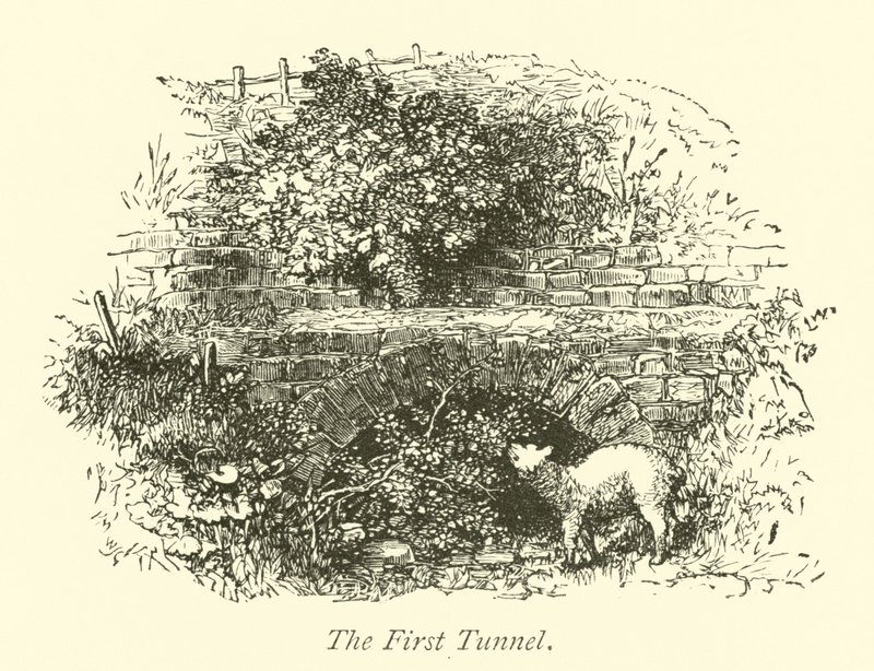 İlk Tünel by English School