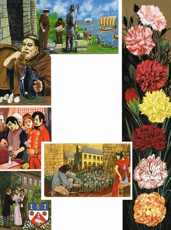 Açan Çiçekler: Parlak Karanfiller by English School