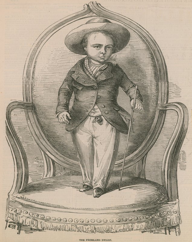 Friesland Cüce by English School