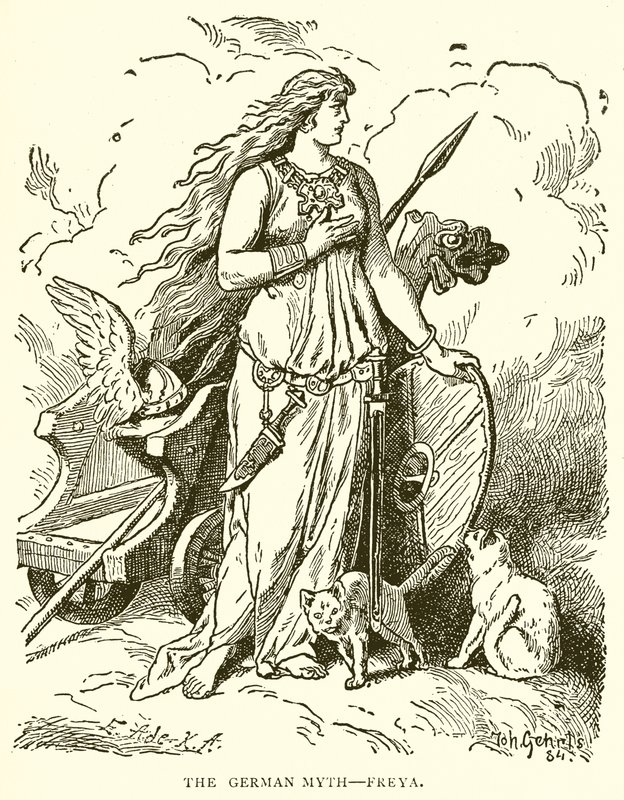 Alman Miti-Freya by English School