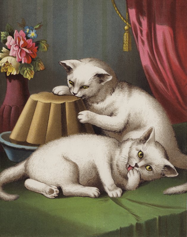 Açgözlü Kedicik (chromolitho) by English School