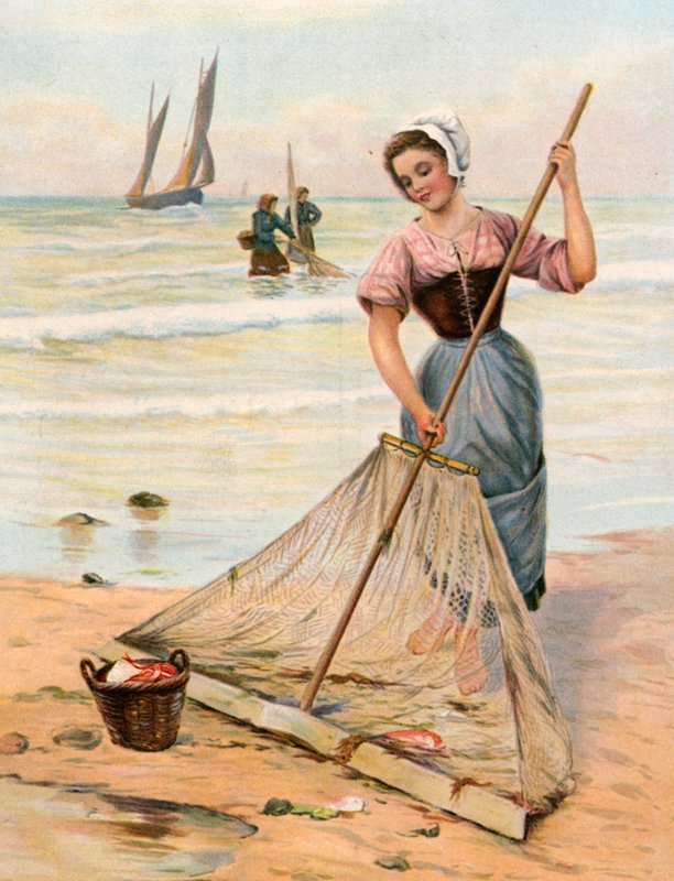Denizin Hasadı by English School