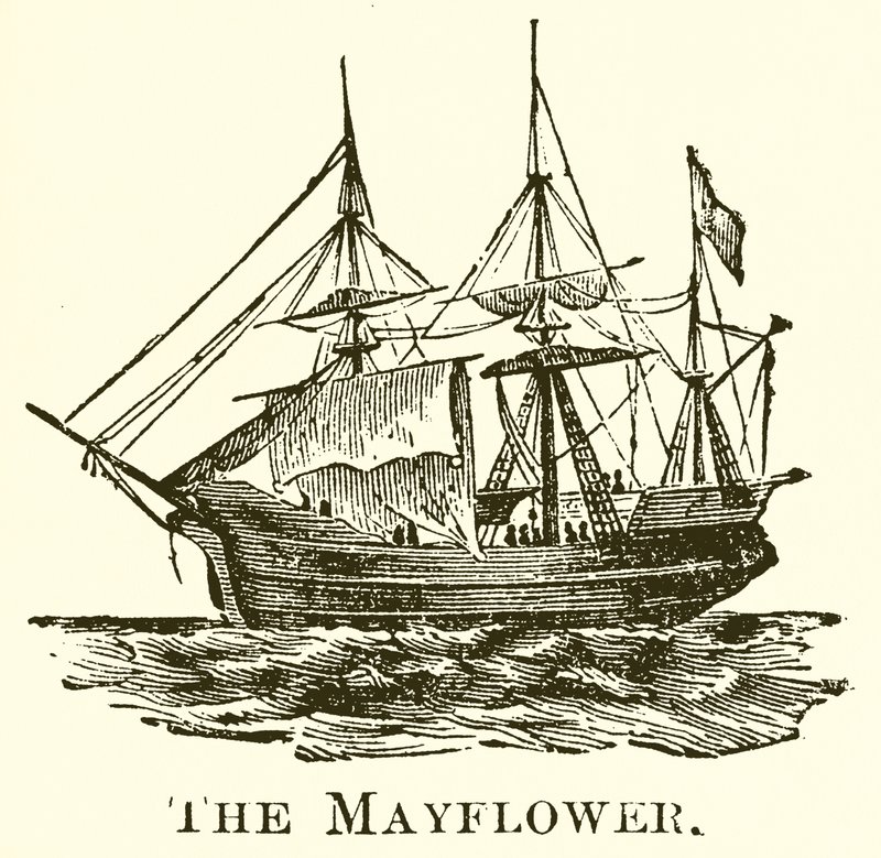 Mayıs Çiçeği by English School