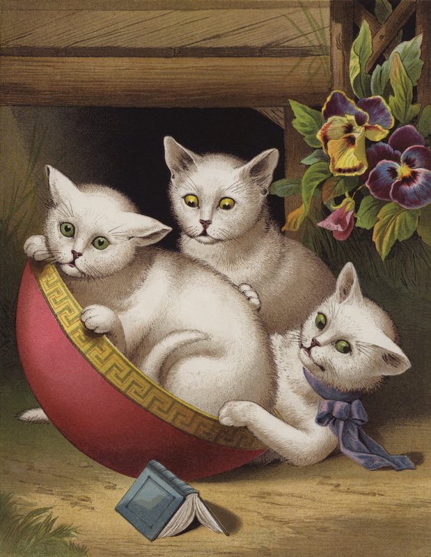 Neşeli Kedi (chromolitho) by English School