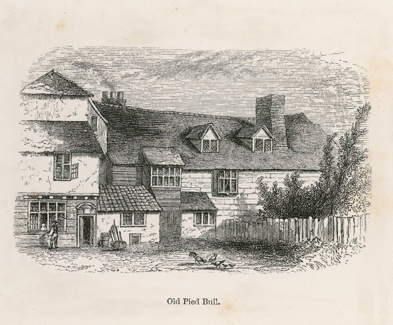 Yaşlı Alaca Boğa (arka) by English School
