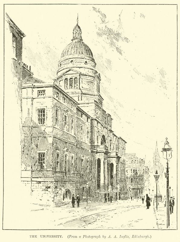 Üniversite by English School