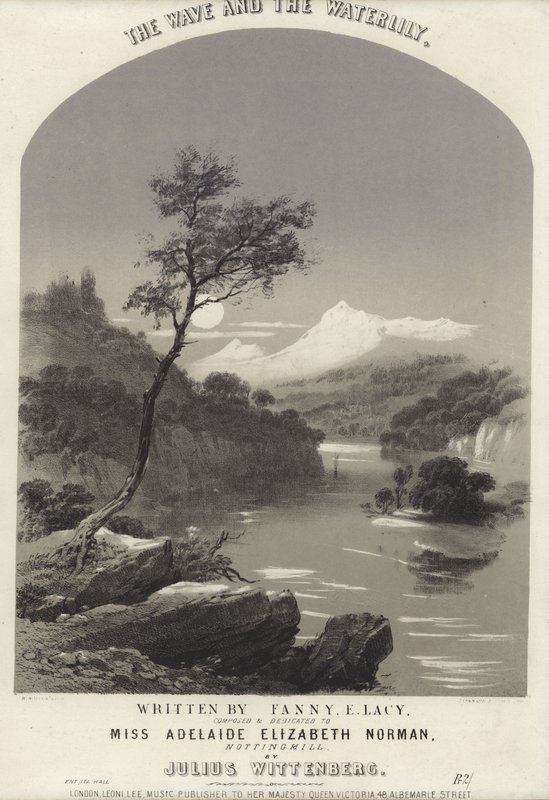 Dalga ve Nilüfer by English School