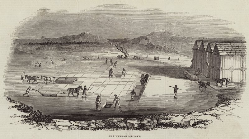 Wenham Buz Gölü (gravür) by English School