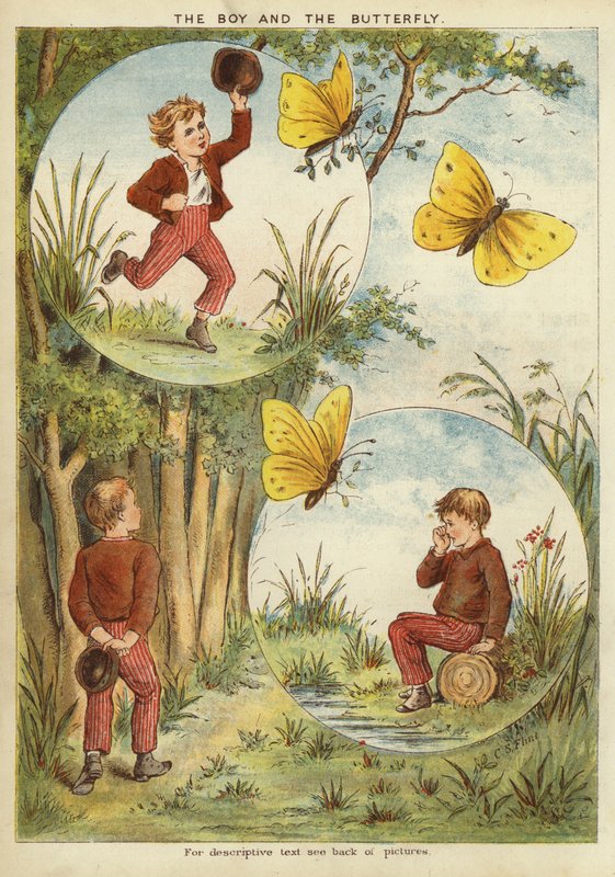 Oğlan ve kelebek (chromolitho) by English School