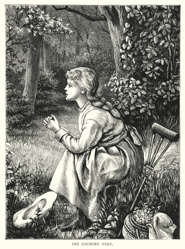 Ülke ziyareti (gravür) by English School