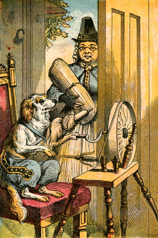 Köpek dönüyor by English School