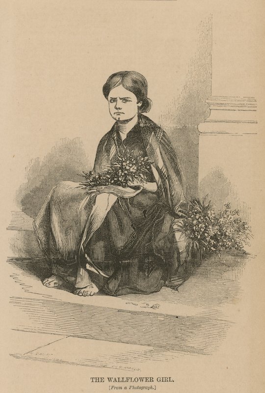 duvar çiçeği kız by English School