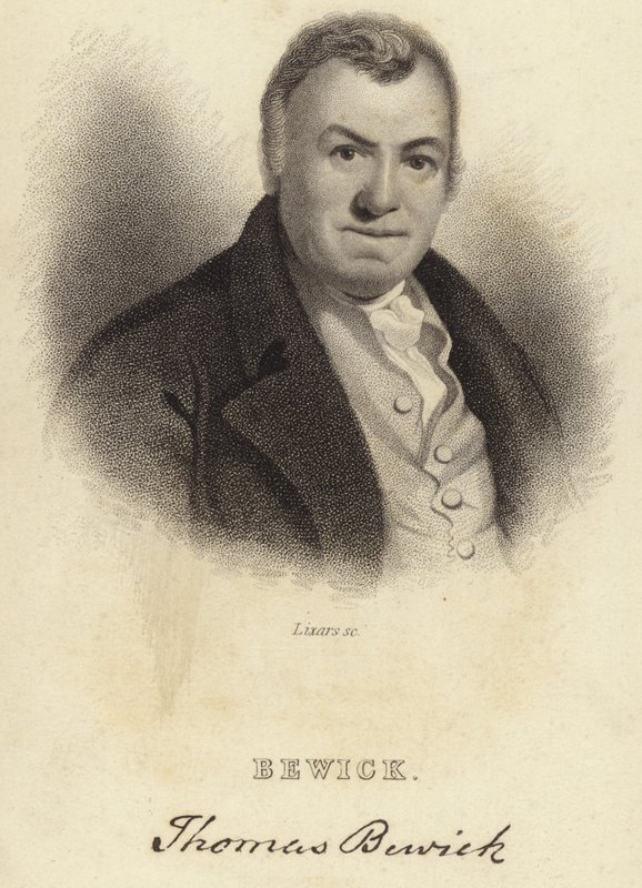 Thomas Bewick by English School