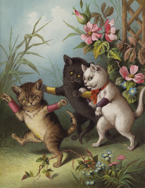 Bir bahçede üç küçük kedi yavrusu (chromolitho) by English School