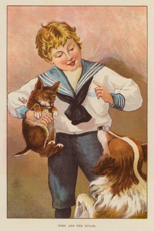Toby ve Şeker (renkli taş) by English School