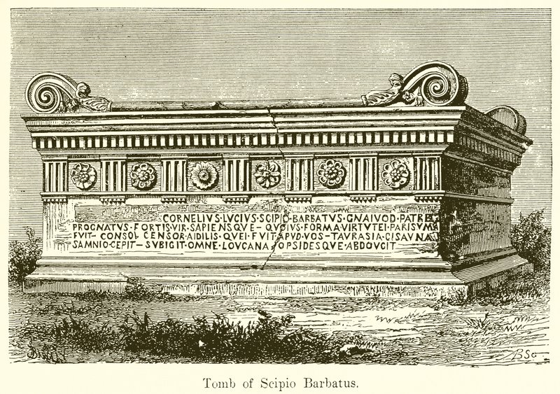 Scipio Barbatus