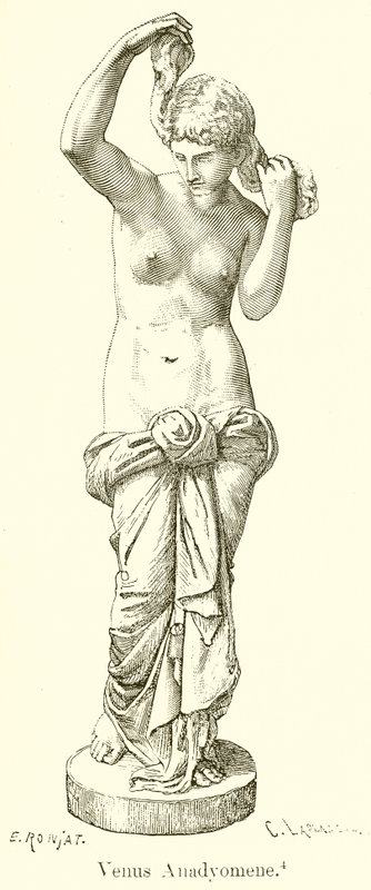 Venüs Anadyomene by English School