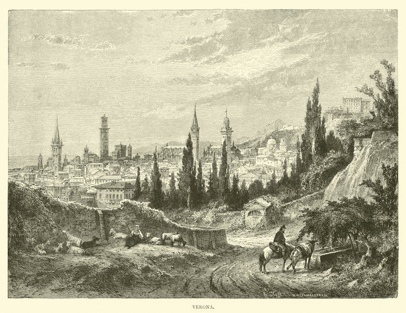 Verona by English School