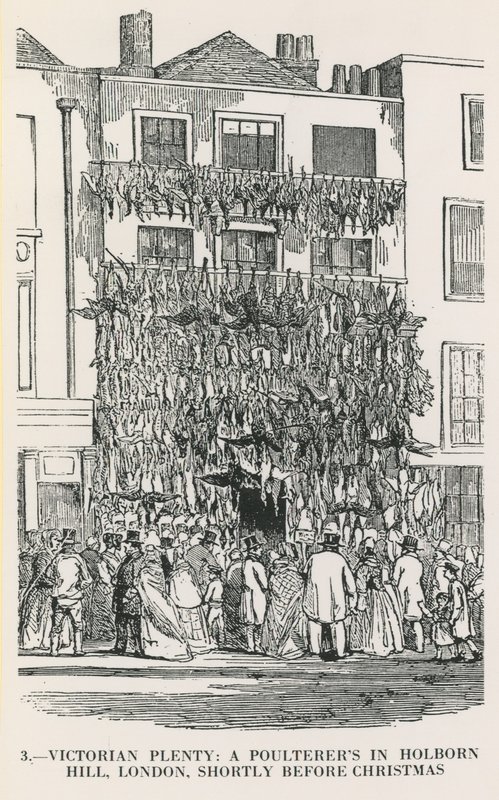Viktorya dönemi by English School