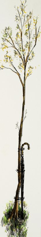 Walking Stick with Tree by English School