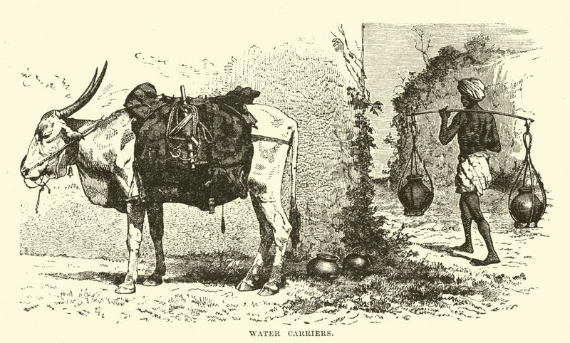 Su taşıyıcıları by English School
