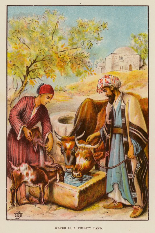Susamış Bir Ülkede Su (renkli taş) by English School