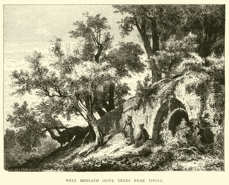 Tivoli yakınlarındaki Zeytin ağaçlarının altında by English School