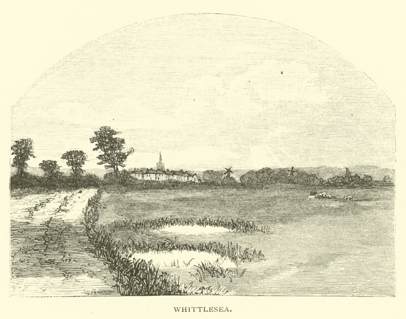 Whittlesea by English School