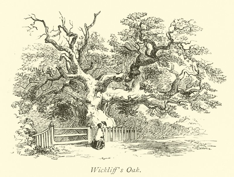 Wickliffs Meşe by English School
