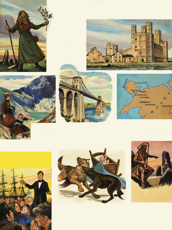 Vahşi Galler by English School