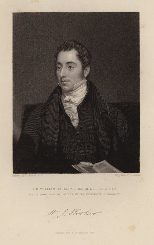 William Jackson Fahişe by English School
